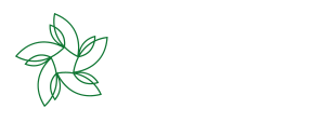 Novo Group Logo