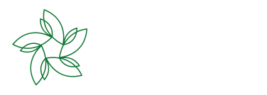 Novo Group Logo